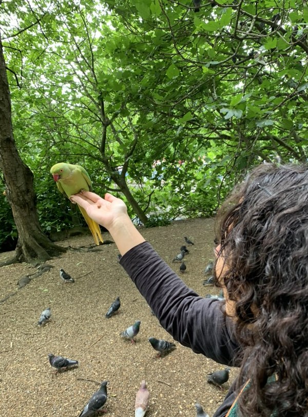 Mona feeding a parakeet in the park